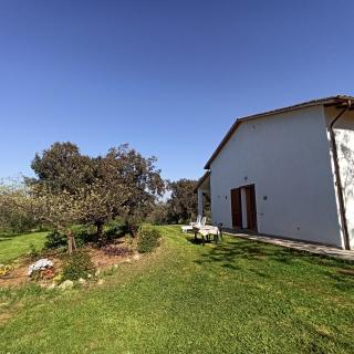 Agriturismo La tana della volpe - Alberese - 7