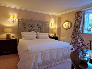 Historic Nile Lodge House , Galway City, sleeps up to 6 guests - Feevaghmore - 9