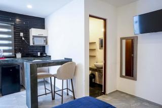Lofts Arsénico - San Luis Potosí - 9
