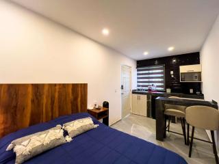 Lofts Arsénico - San Luis Potosí - 5