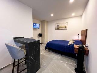 Lofts Arsénico - San Luis Potosí - 4