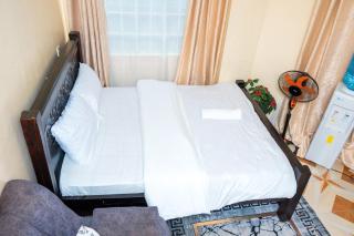 studio at roybahn heights TRM gate H - Nairobi - 7