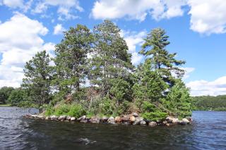 Fishermans Cottage - Manitowish Waters - 8