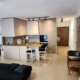 Luxurious Apartment in Shengjin - 1