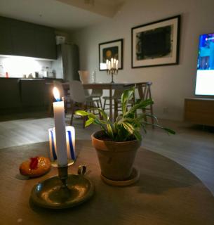 Ny og moderne leilighet - Oslo - 6