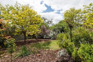 Sam & Audrey's - McLaren Vale - 3