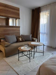 B7 Luxury Studio Apartment in Bansko - Bansko - 9