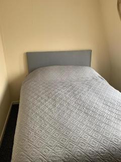 Spacious 4-Bedroom House Near Station - Londra - 7