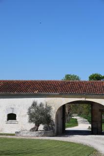 La Cannonerie - Réaux - 8