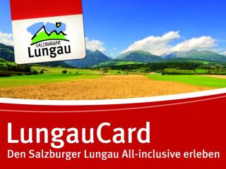 Deluxe Zirberl Top 6 - 4