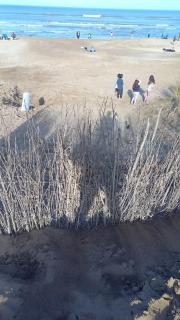 Casa Sukha - Pinamar - 1