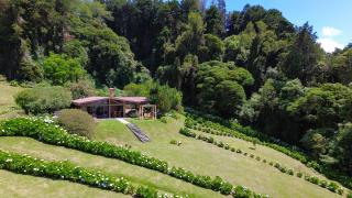 Peaceful Mountain Experience - Coyote House - Poás - 0