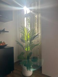 J & Nilson's Apartment In Shkodra Center - 9