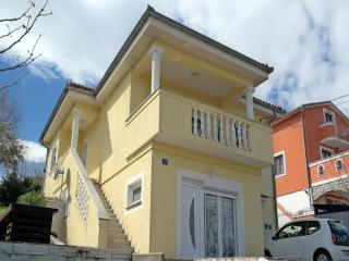 Spacious apartment with covered terrace - Čavle - 0