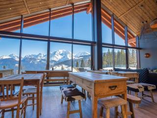 Premium pet-friendly apartment in Combloux - Combloux - 7