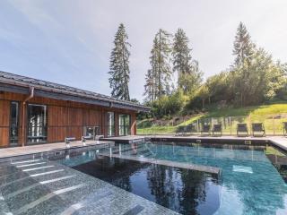 Elegant apartment in Megeve - Megève - 9