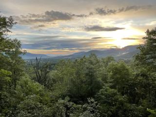 Cabin in the Clouds - Black Mountain - 1