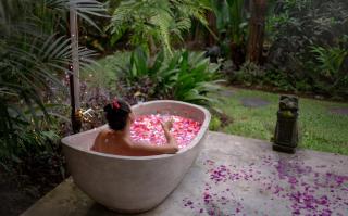 Philosopher Villa - Ubud - 0