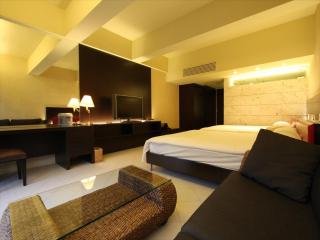 Palace In Moon Beach - Onna - 9