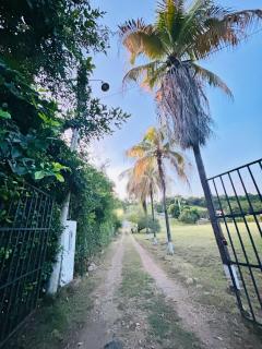 Finca Hotel Bella Vista - 6