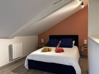 Gîte spacieux avec jardin, animaux admis - FR-1-489-568 - Laprugne - 1
