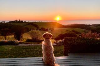 Saddleback Grove Kiama - 4