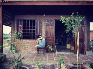 LOOP Farm - - 5