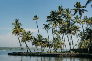 HostelExp, Munroe Island - A Community Experience - Munroe Island - 6