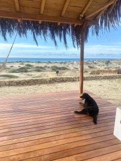 Vichayito Hermosa cabaña para 5 personas - San Martín - 6