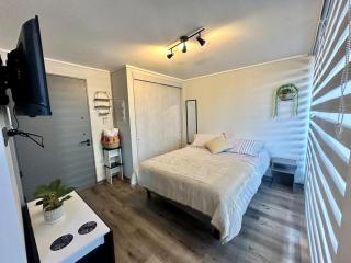 Estudio con vista al mar y estacionamiento privado - Valparaíso - 2