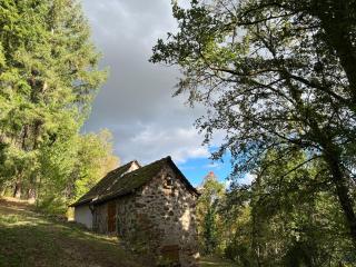 L écrin des bois - Sauveterre-de-Rouergue - 6