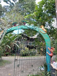 Madre Selva Hostel - Puerto Viejo - 9
