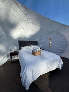 Hotel Cielo Stellato - Capitán Pastene - 6