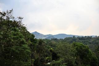 Vythiri Gold Resort - - 2