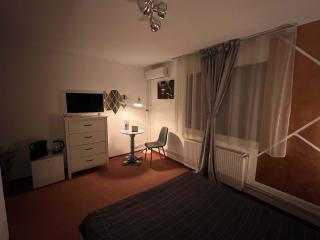 Old Vintage Villa - Brasov - 5