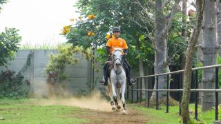 Ratu Roso Resort - 1