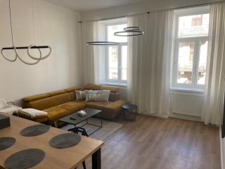 Residence Drobného apartmán Park - Brno - 5