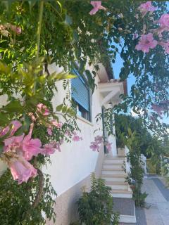 Casa de Azzancha - Azinhaga - 7