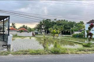 Budha House - Ubud - 1