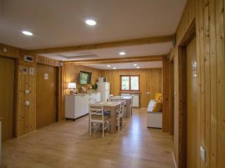 House near lake surrounded by beautiful nature - Orahovica - 4