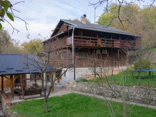 House near lake surrounded by beautiful nature - Orahovica - 0