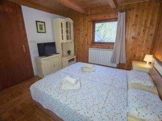 House near lake surrounded by beautiful nature - Orahovica - 1