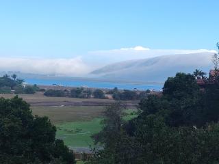 Phoenix 34South - Knysna - 7