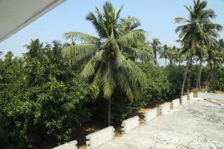 Thiruvallur Farm House - - 7