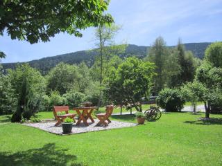 Haus Holunder Weissbriach - 7