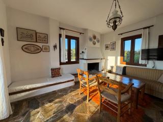 villa Glykeria Διώροφη Κατοικία με δυο υπνοδωμάτια με θέα - Xinóvrisi - 8