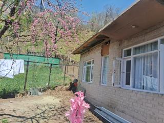 Mountain side homestay - Pahalgām - 4