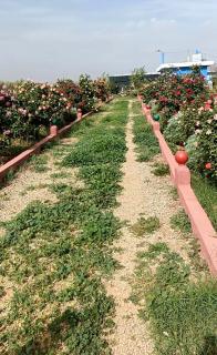 Une très belle ferme juste magnifique - Oujda - 9