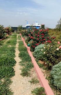 Une très belle ferme juste magnifique - Oujda - 5