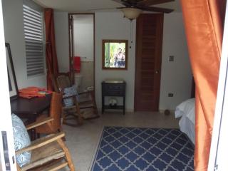 Beautiful Home At The Hill With Private Pool - Ceiba - 4